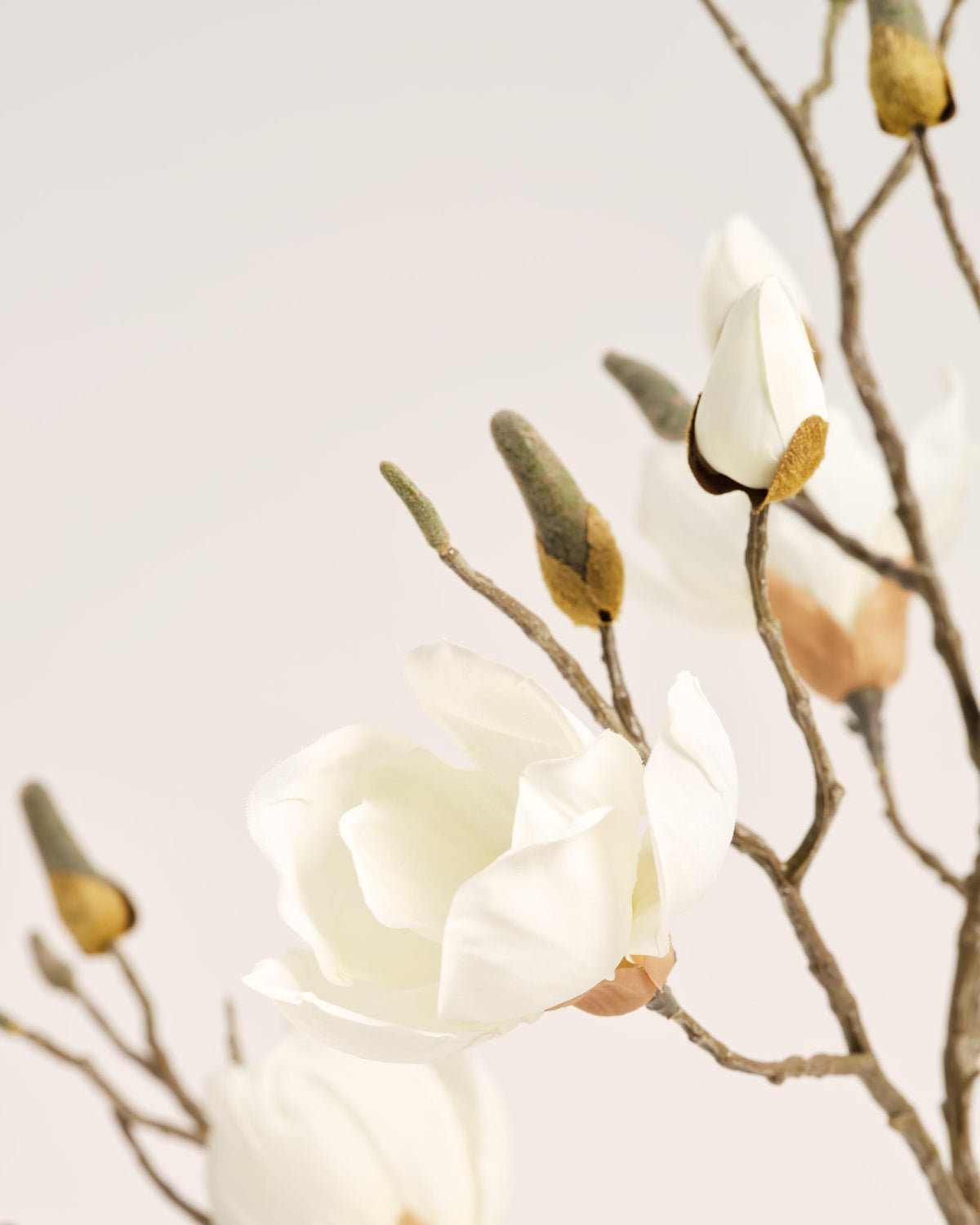 Zijden Magnolia Boeket | Good MC.37
