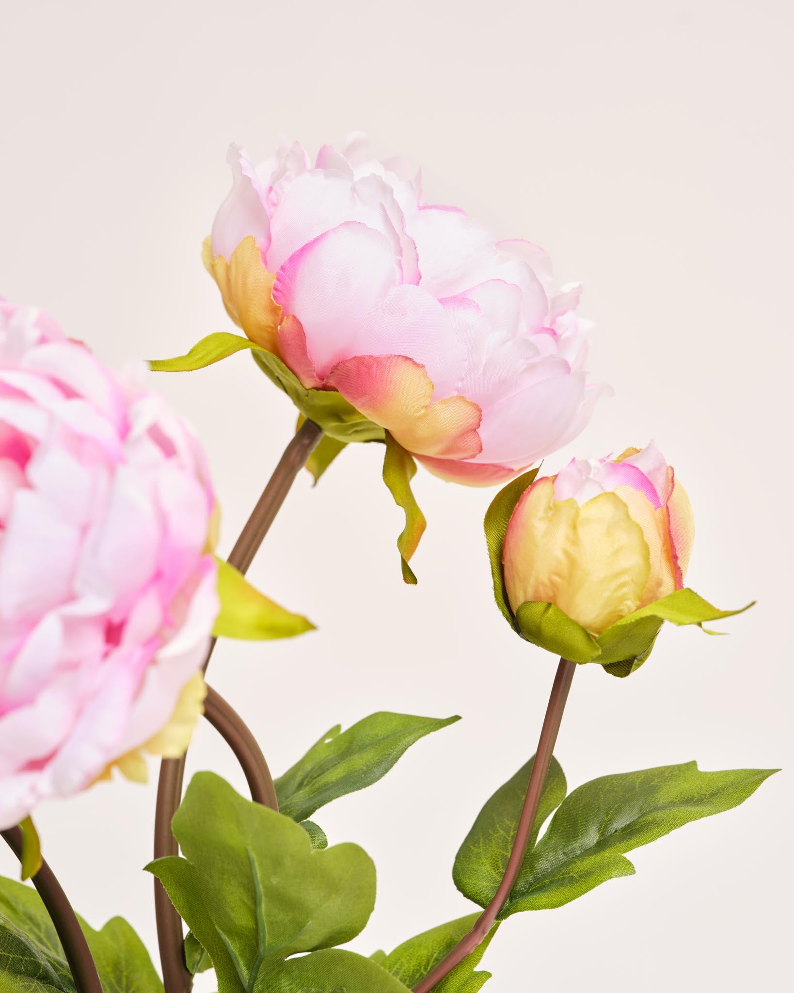 Silk Bouquet | Good PB.01